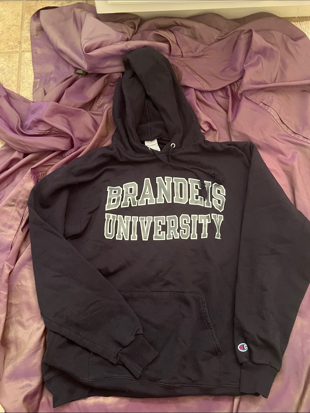 Champion Black Brandeis University Pullover Hoodie